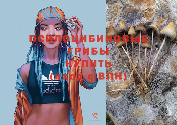 мяу мяу мука Алзамай
