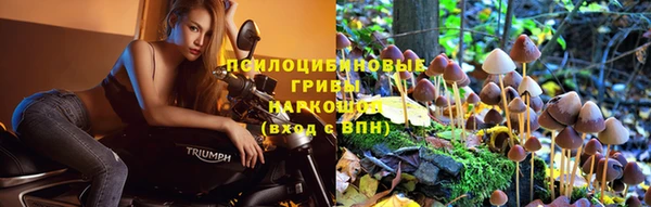 мяу мяу мука Алзамай