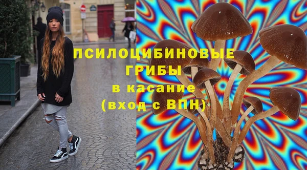 индика Алексеевка