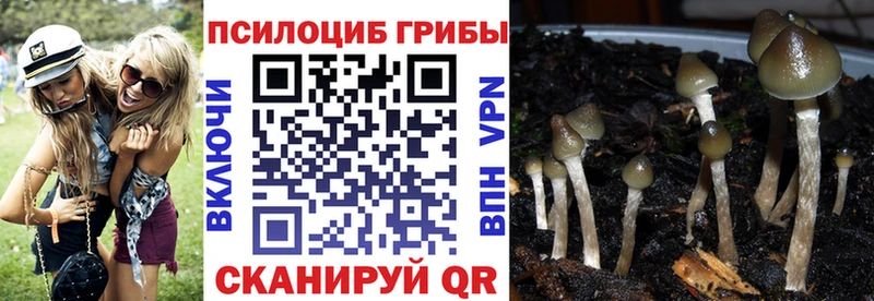 Псилоцибиновые грибы GOLDEN TEACHER  Тотьма 